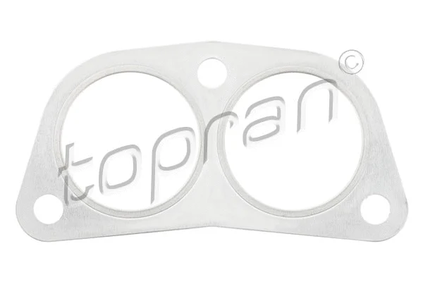 Gasket, exhaust pipe (100 188)