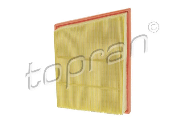 Air Filter (502 786)