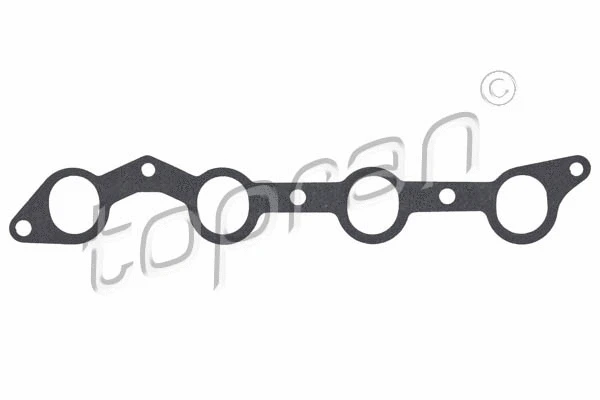 Gasket, intake manifold (201 676)