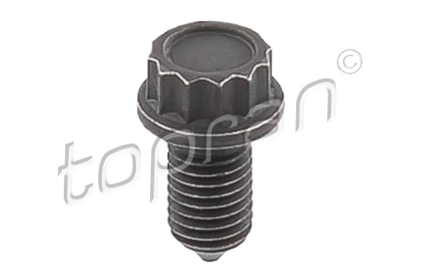 Screw (117 244)