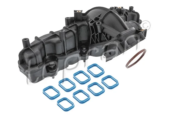 Intake Manifold Module (305 659)