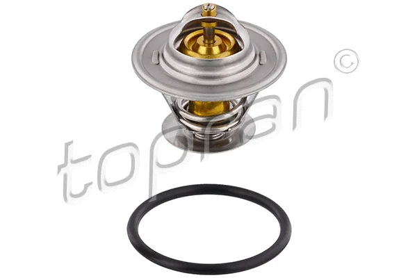 Thermostat, coolant (202 314)