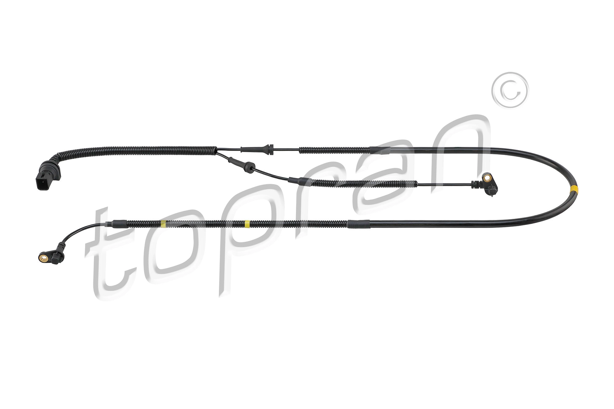Sensor, wheel speed (305 072)