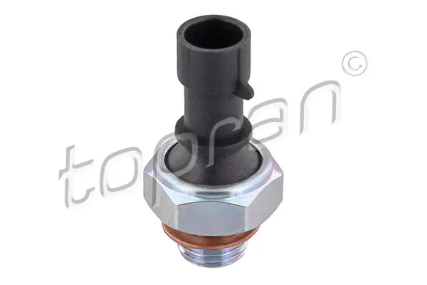 Oil Pressure Switch (205 418)