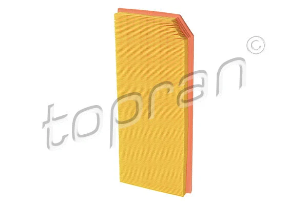 Air Filter (110 460)