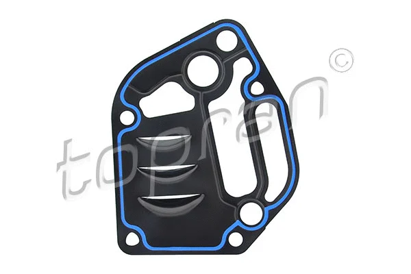 Gasket, oil filter housing (111 910)