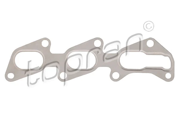 Gasket, exhaust manifold (206 601)
