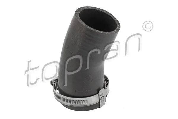Charge Air Hose (119 065)