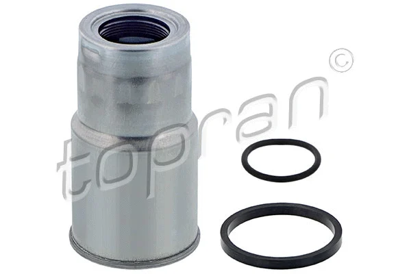 Fuel Filter (600 046)