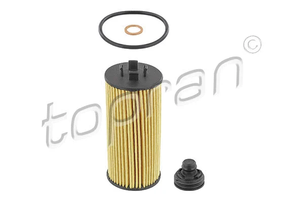 Oil Filter (502 793)