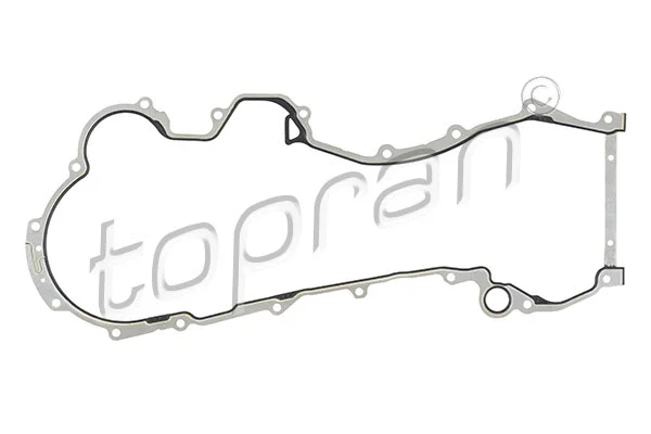 Gasket, oil pump (207 605)