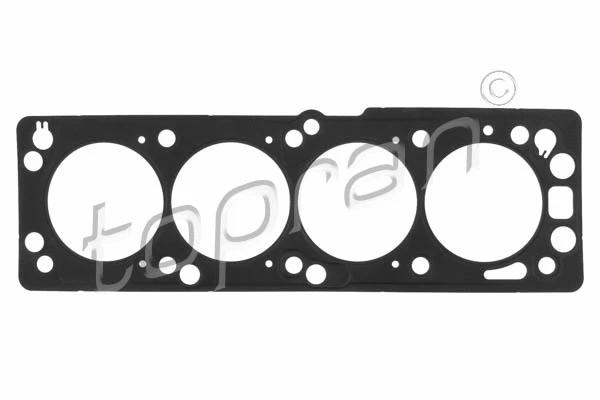 Gasket, cylinder head (206 518)