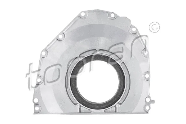 Shaft Seal, crankshaft (113 623)