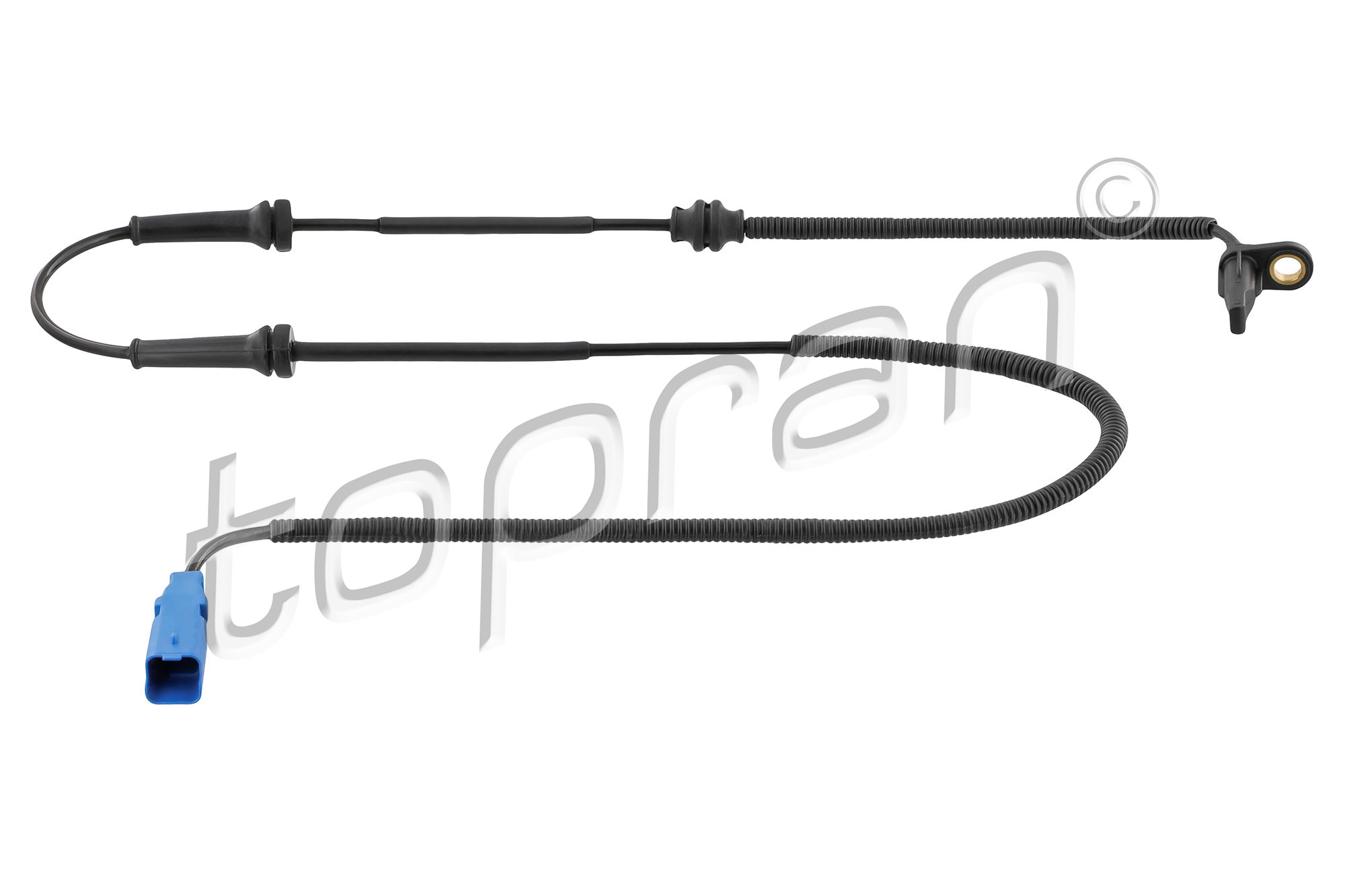 Sensor, wheel speed (722 809)
