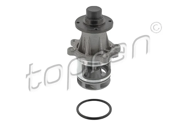 Water Pump, engine cooling (500 304)