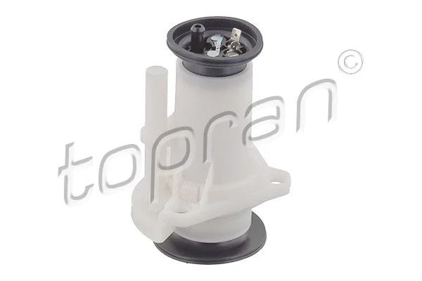 Fuel Pump (111 862)