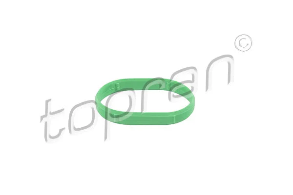 Gasket, intake manifold (113 200)