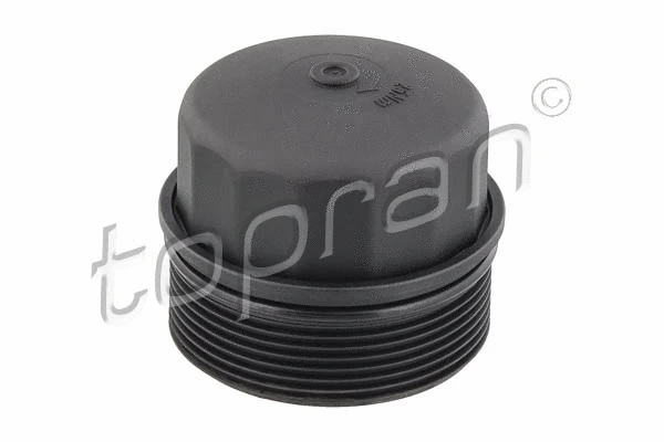 Cap, oil filter housing (409 564)