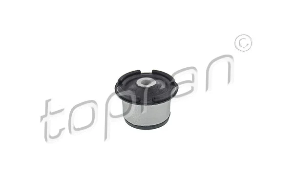 Bushing, axle beam (205 825)
