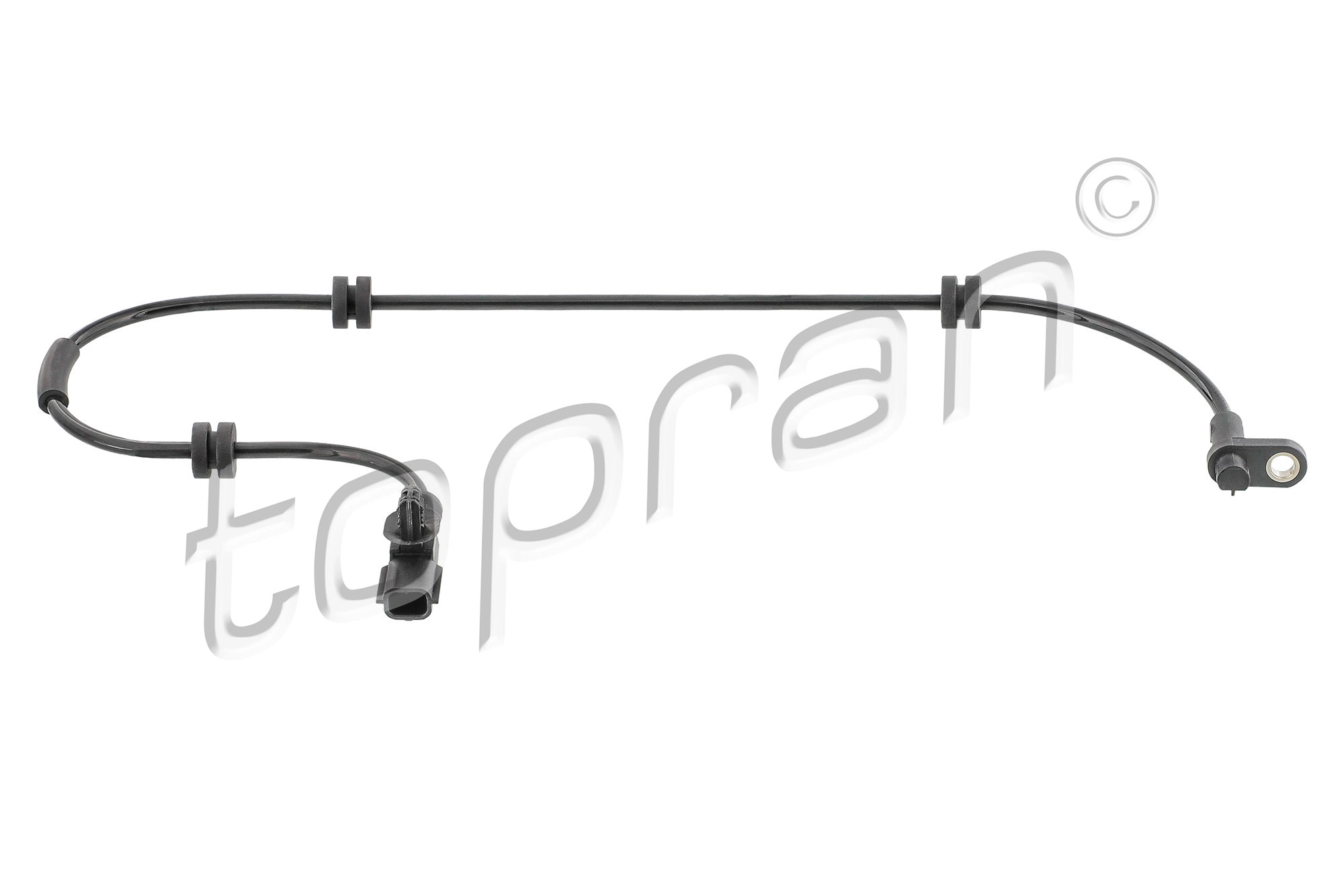 Sensor, wheel speed (304 982)