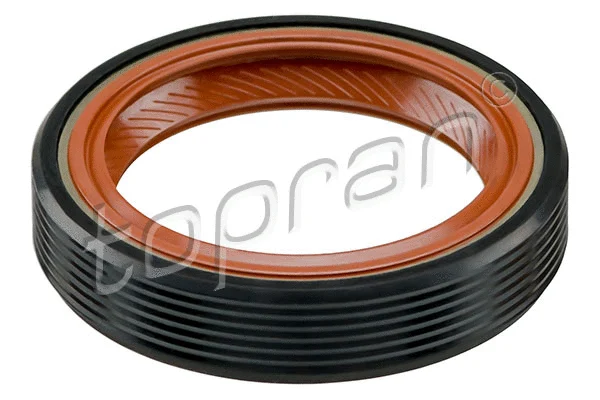 Shaft Seal, crankshaft (101 031)