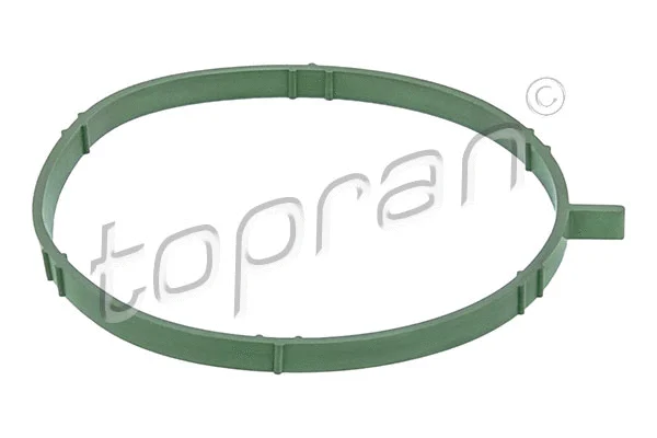 Gasket, intake manifold (115 041)