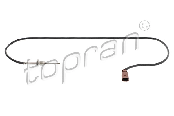 Sensor, exhaust gas temperature (119 770)