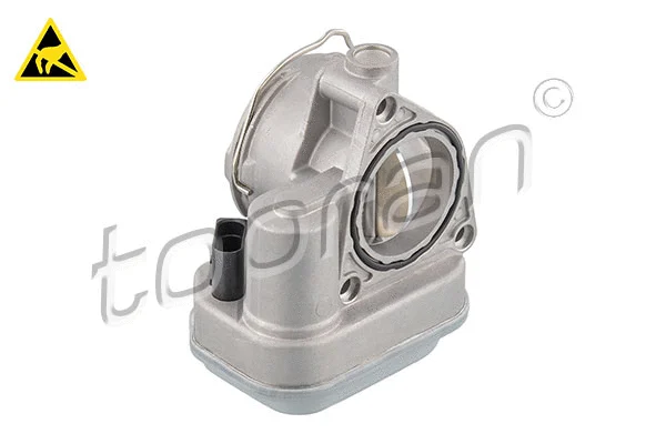 Throttle Body (117 310)