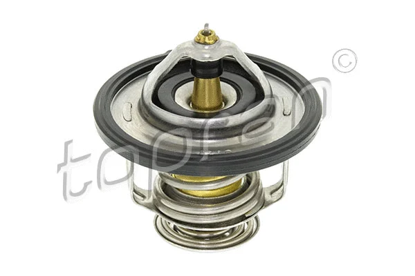 Thermostat, coolant (820 305)