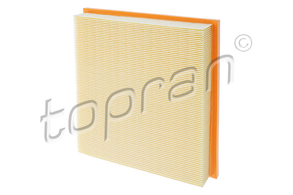 Air Filter (304 053)