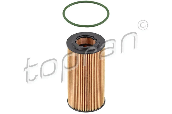 Oil Filter (304 082)