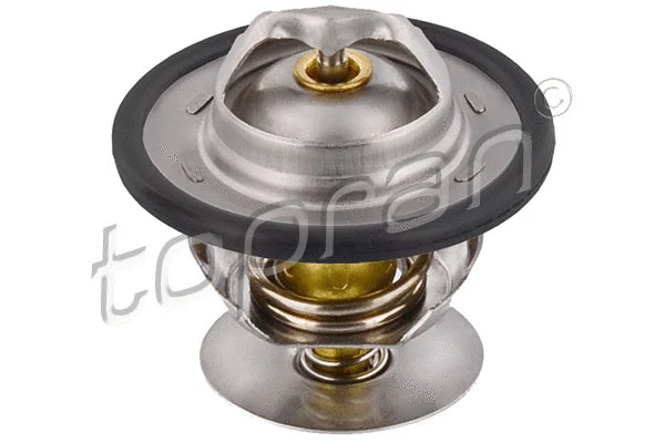 Thermostat, coolant (300 405)