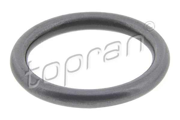 Seal Ring, injector (100 678)