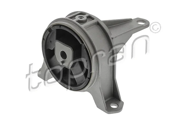 Mounting, engine (207 208)