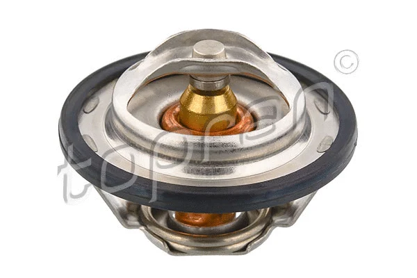 Thermostat, coolant (721 709)