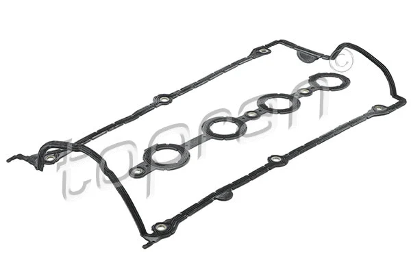 Gasket Set, cylinder head cover (101 113)