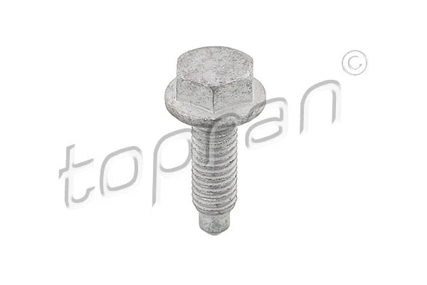 Screw (107 194)