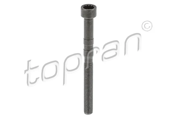 Bolt, rocker arm shaft (119 150)