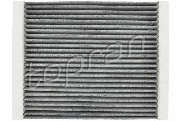 Filter, cabin air (207 954)