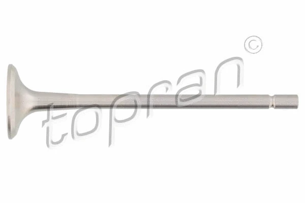 Exhaust Valve (700 654)