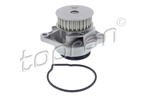 Water Pump, engine cooling (108 262)