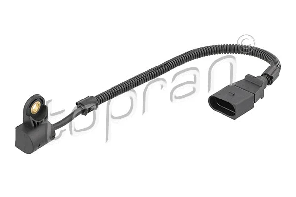 Sensor, camshaft position (623 125)