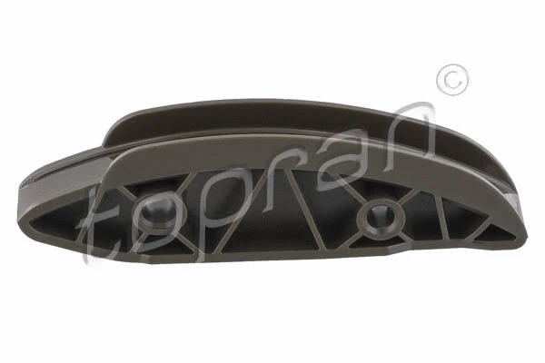 Guide, timing chain (408 962)