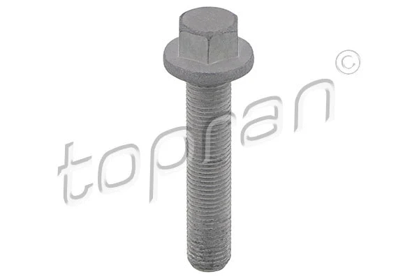 Pulley Bolt (503 133)