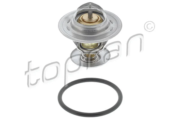 Thermostat, coolant (111 166)