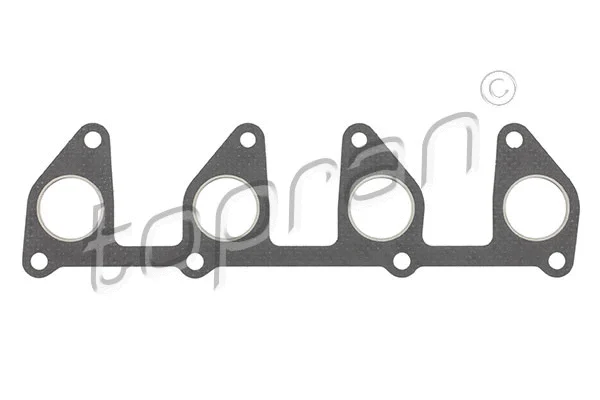 Gasket, exhaust manifold (201 690)