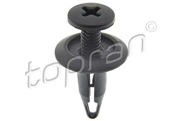 Expanding Rivet (305 570)