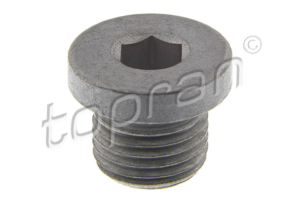 Screw Plug, oil sump (120 142)