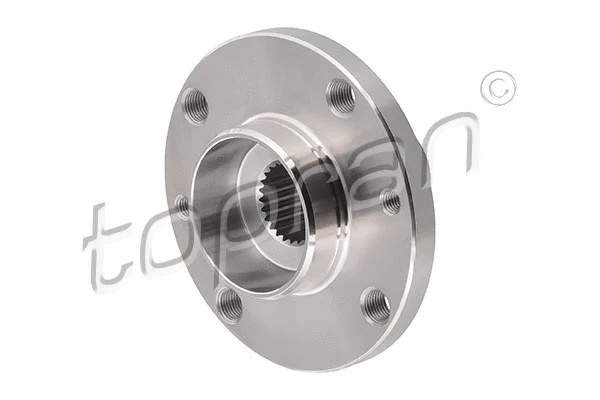Wheel Hub (304 877)