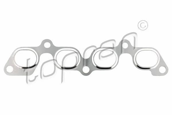 Gasket, exhaust manifold (301 862)